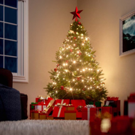 Umelý vianočný stromček RUDOLPH, 150cm, zelená